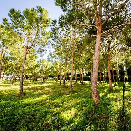 Agriturismo Bio San Mamiliano Grosseto Exterior photo